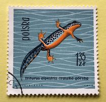 Briefmarken aus  Polen gestempelt  Siehe Original Fotos.