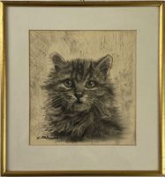 K. Schmid – Katze – Stift auf Papier