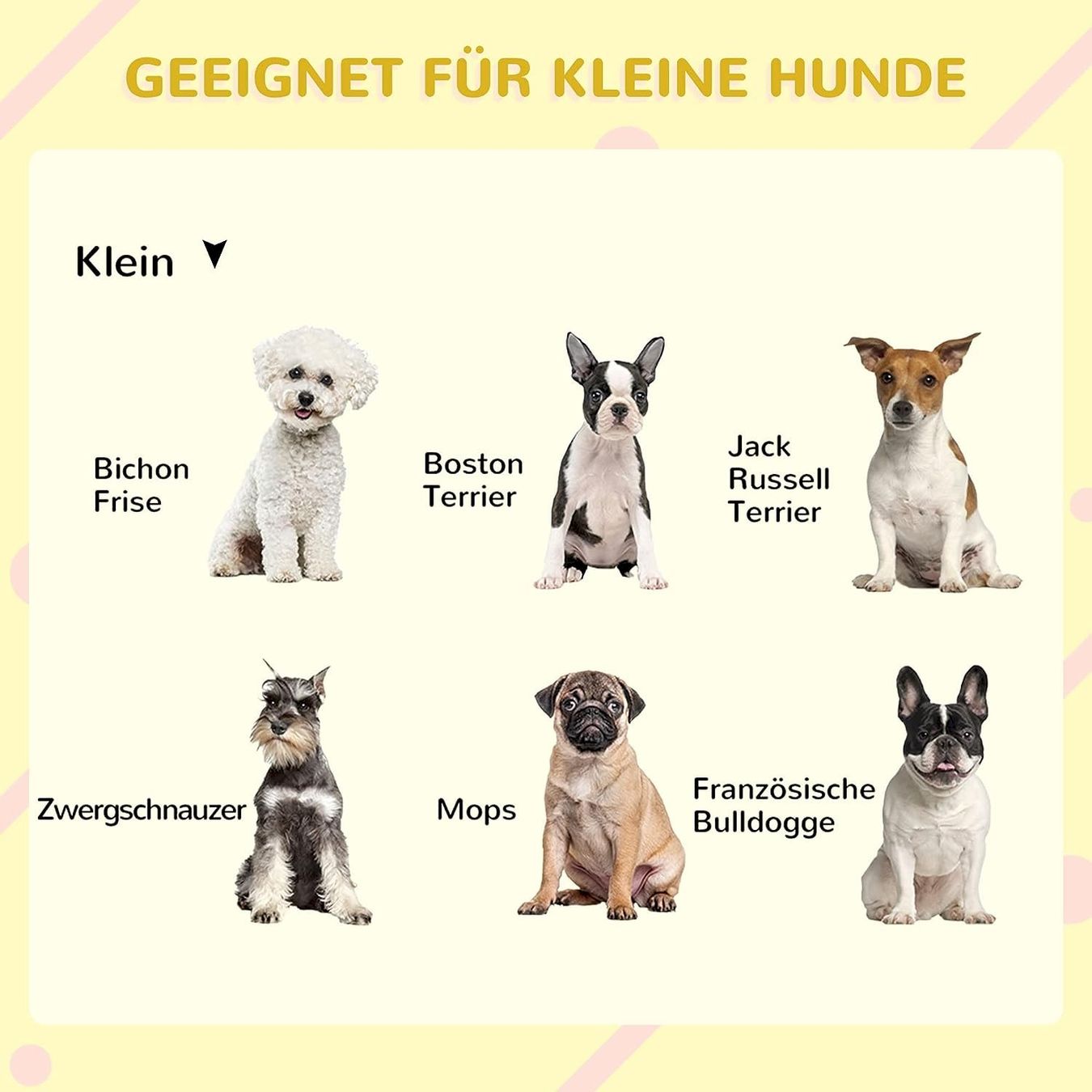 Liege- & Schlafplätze: PawHut Hundehütte mit Veranda – Neu und originalverpackt aus Bottighofen von zaap 4