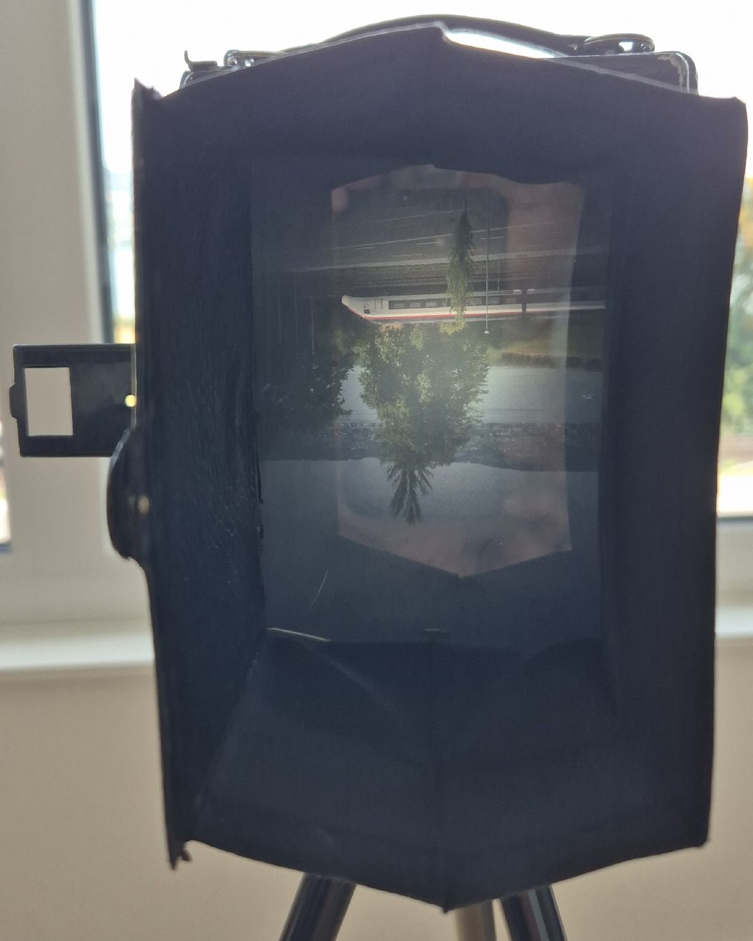 Fotocamera: Faltkamera Welta 9x12 Compur – Usato da Au ZH venduto da Nostronomo 4