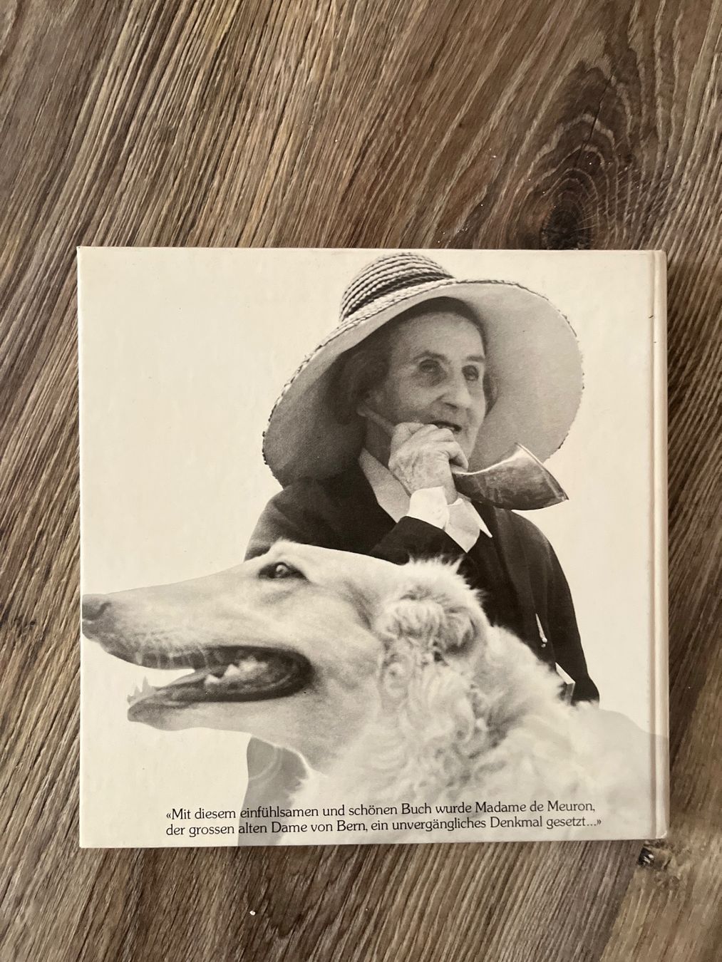 Libri: Madame de Meuron - Erinnerungsalbum – Usato da Ettingen venduto da bri_6bhw 1