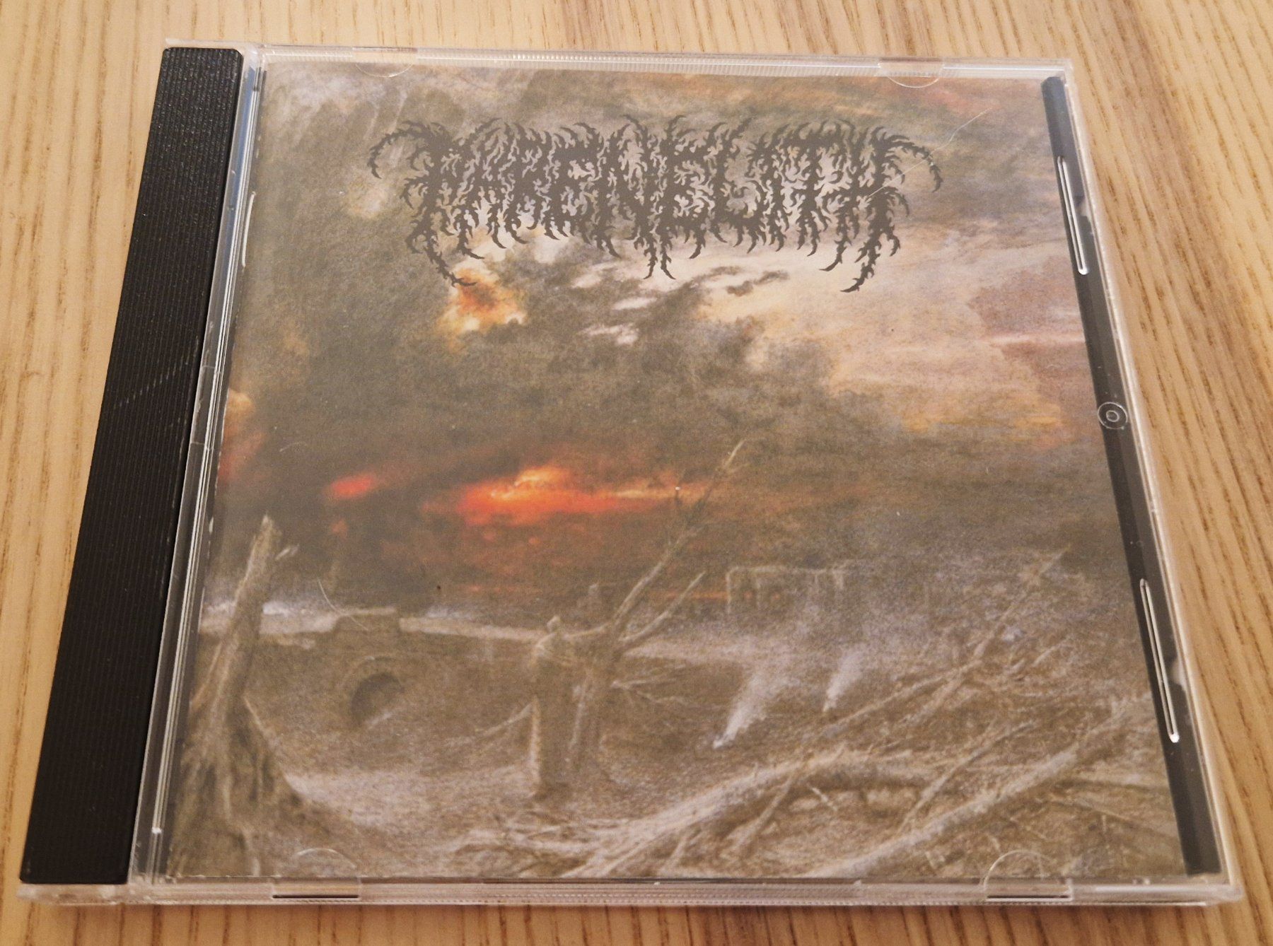 CD: Phrenelith – Desolate Endscape (CD) – Usato da Luzern venduto da Belethors_GenGoods