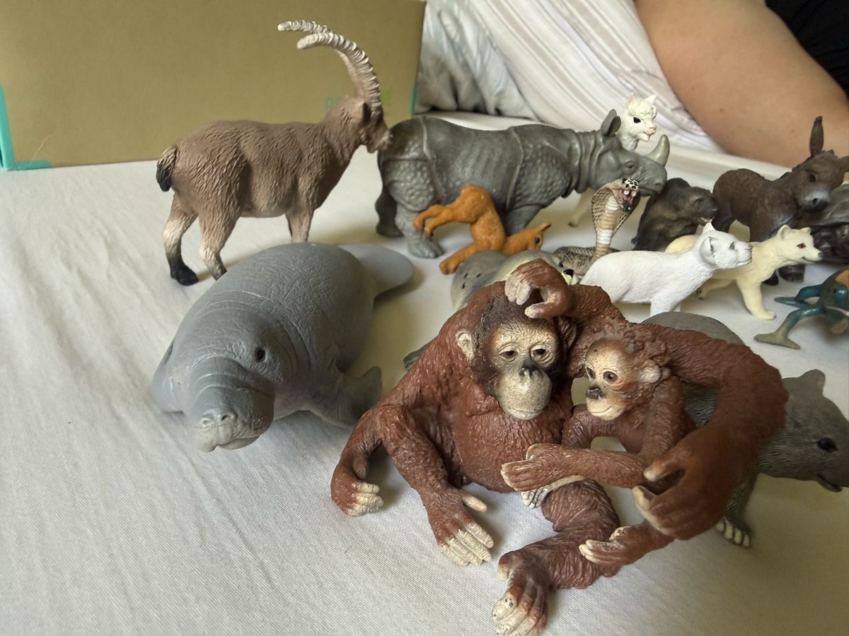 Schleich Statuette: 19 Schleich Tiere  – Usato da Zürich venduto da zuerich16 7