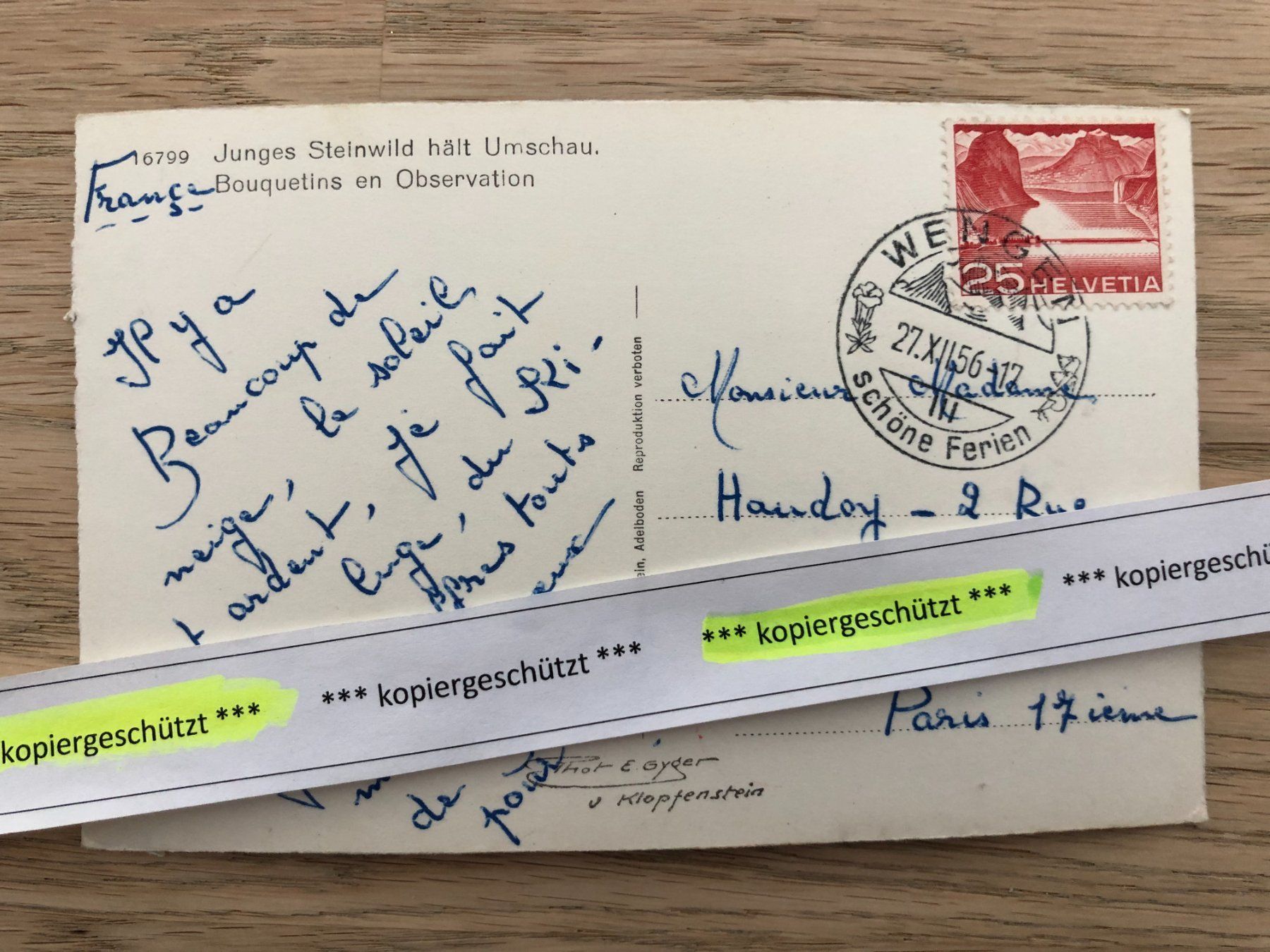 Cartoline postali: junges Steinwild Wengen 1956 AK – Usato da Hefenhofen venduto da Bierinder 1