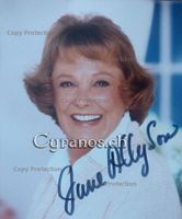 June Allyson (1917-2006) Schauspielerin - sign. Foto