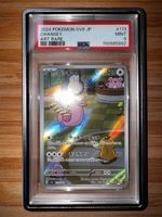 Premium Slab Guard für PSA Graded Cards / Viele Farben / OVP