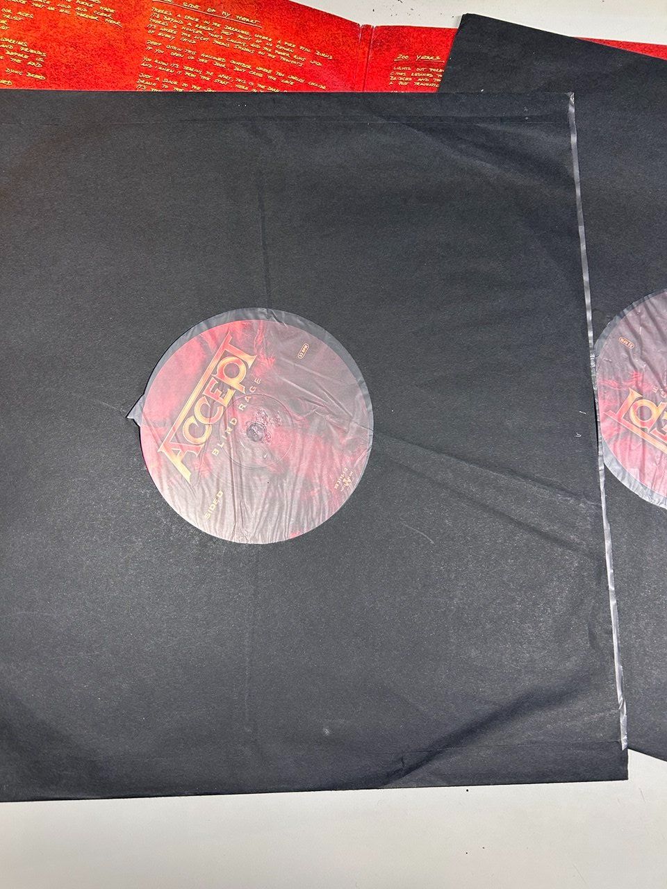 Dischi in vinile: Blind Rage - Accept / Double Vinyl – Usato da Giubiasco venduto da LorisVale 4
