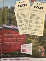 2 Spezial-Tageskarten SBB