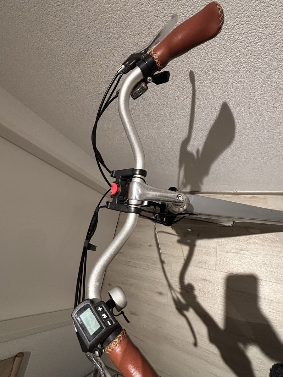 Biciclette: E-Bike Allegro Invisible – Difettoso da Biel-Benken BL venduto da Pepsi23 3
