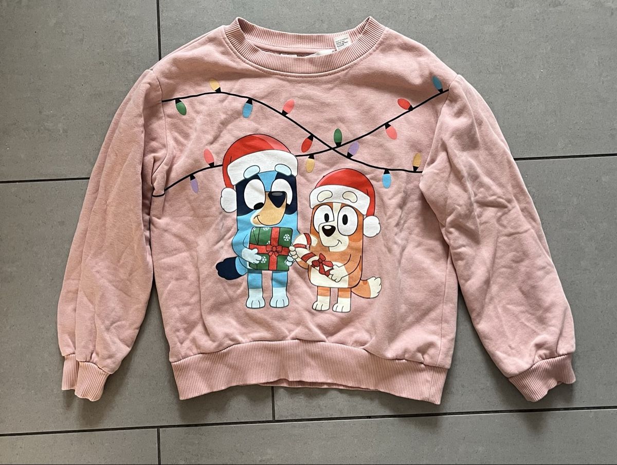 H&M Maglioni & Felpe: Bluey Pullover, Gr. 122/128, H&M – Usato da Zürich venduto da jmg_8005