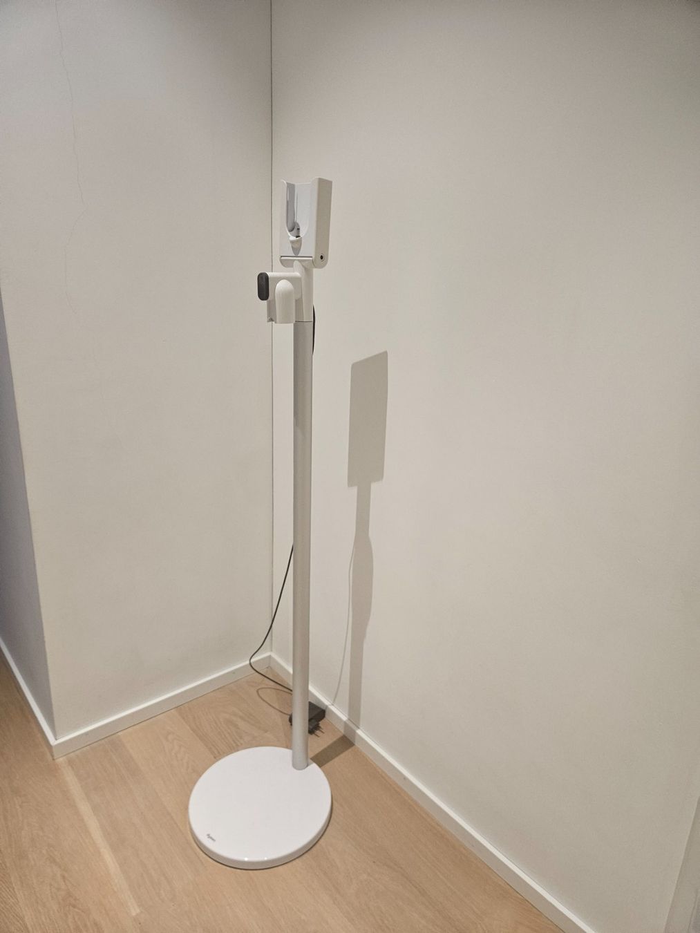 Dyson Altro in Decorazioni & Accessori: Dyson V11™ Floor Dok – Usato da Bülach venduto da liri5 1