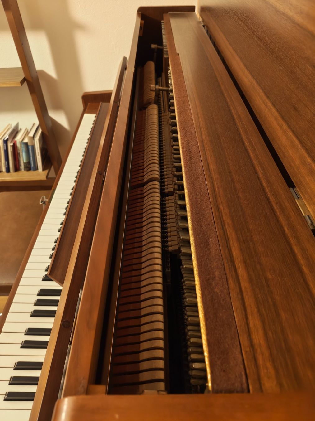 Musikinstrumente: Klavier – Gebraucht aus Bern von Vogularis 2