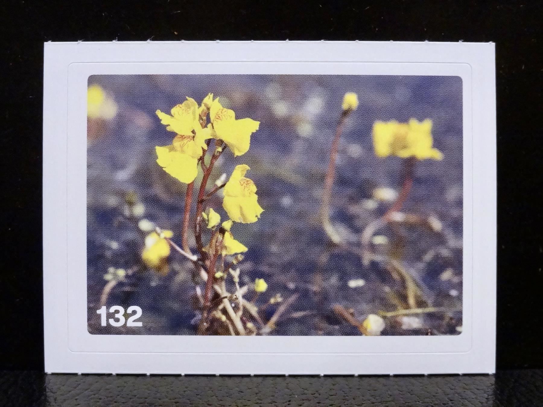 Migros Cartes à collectionner: MIGROS MANIA Nature Detectives Nr. 132 – D'occasion à Kerzers par zimmergruen