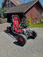 Selbstgebautes Gokart mit Kawasaki ZR-7S Motor