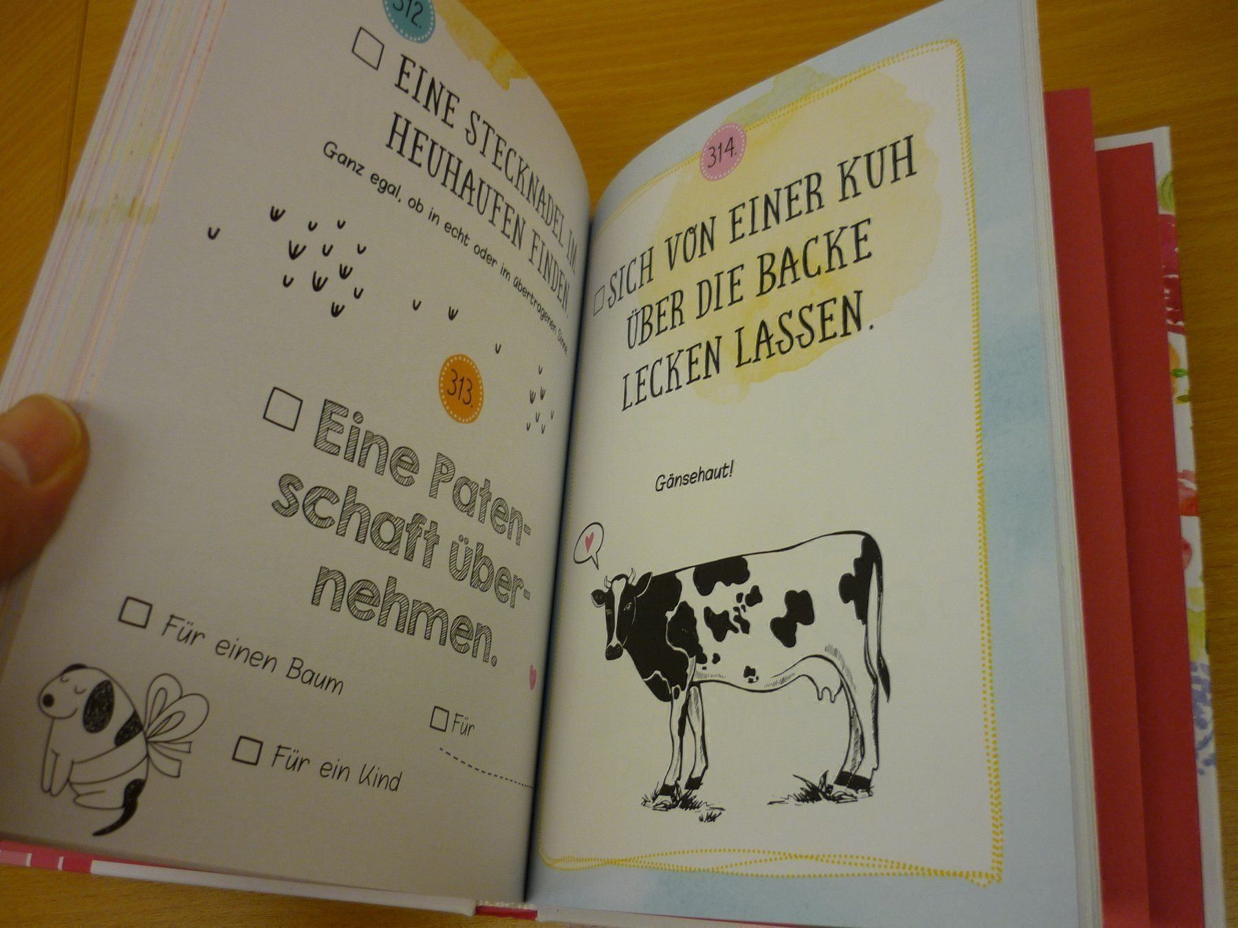 Libri: Buch "365 Ideen die glücklich machen" – Nuovo (secondo la descrizione) da Jonschwil venduto da bsn_p8dl 4