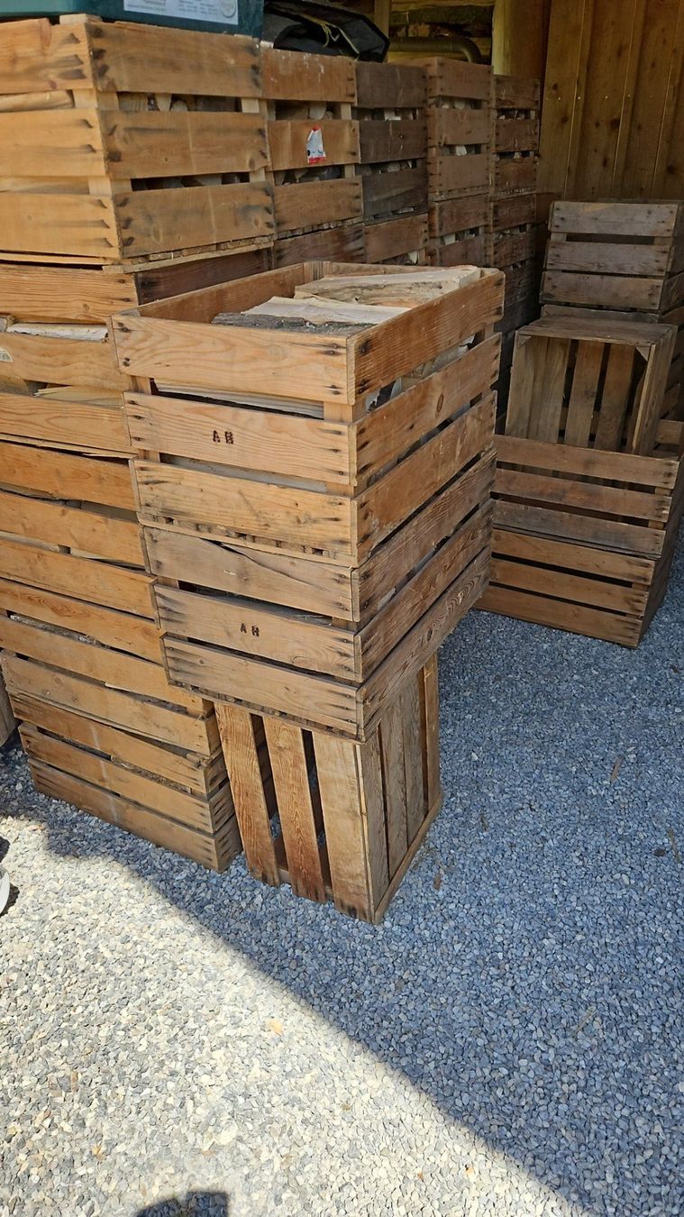 Articoli in legno: Brennholz Esche/Buche – Nuovo (secondo la descrizione) da Hägglingen venduto da RusticJoe 3