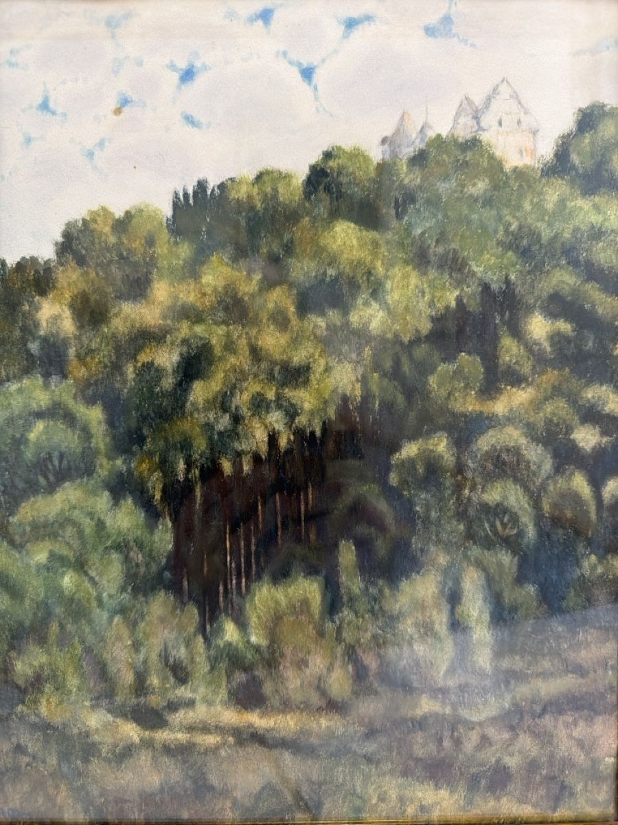 Dipinti: Altes Aquarell, Schloss Wildegg. – Usato da Biberist venduto da Momo33