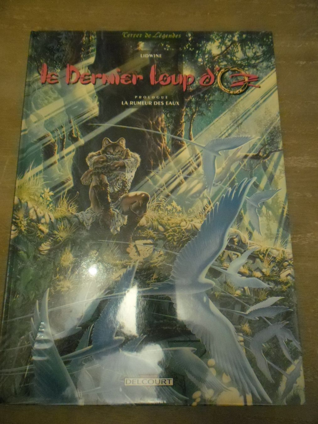 Fumetti: Dédicace - Le dernier loup d'Oz – Usato da Satigny venduto da monocle