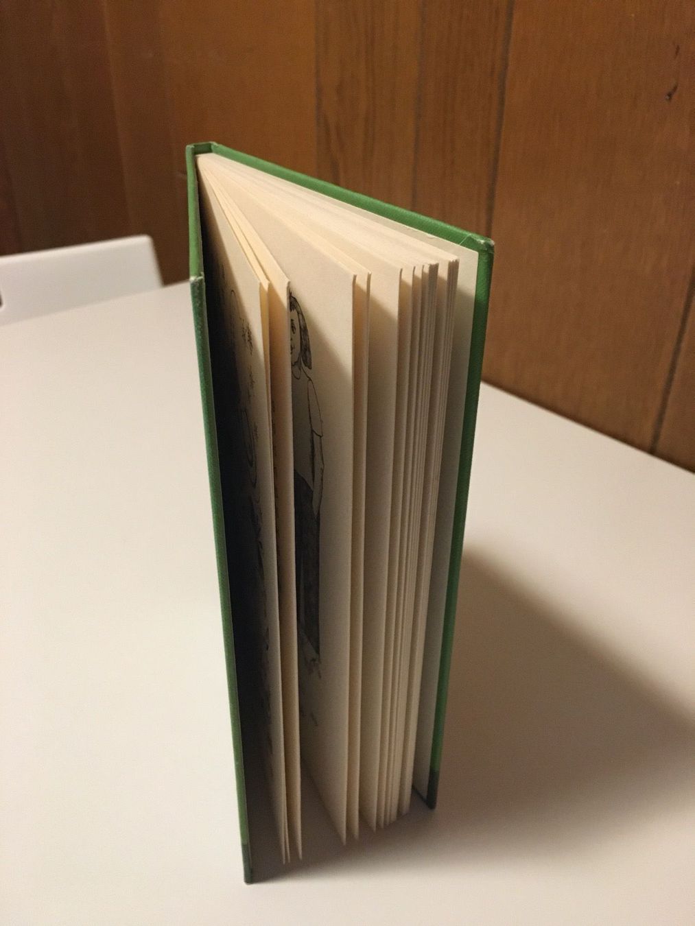 Libri: Leselöwen - Feriengeschichten – Usato da Andwil SG venduto da Rainboli 2