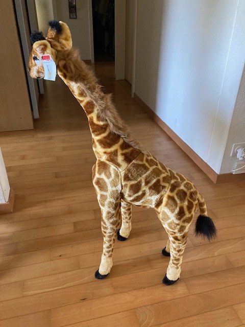 Giocattoli: Plüsch Giraffe – Usato da Benglen venduto da Disney5