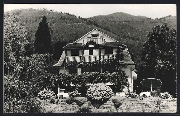 Cartoline postali: Locarno, Pensione La Collinetta, Monti d – Usato da Berlin venduto da bartko-reher