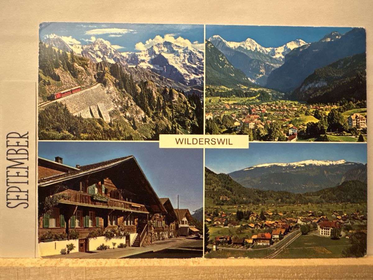 Cartoline postali: AK von Wilderswil – Usato da Rümlang venduto da Brieftaube1