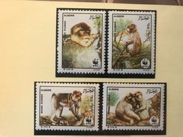 Algerien 1988 Satz WWF Berberaffe postfrisch