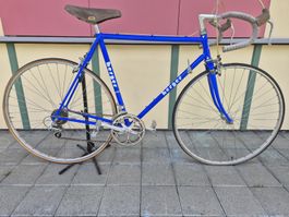 Herger Rennvelo