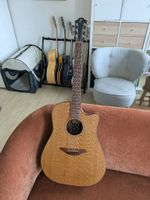 Furch D40 Akustik Gitarre