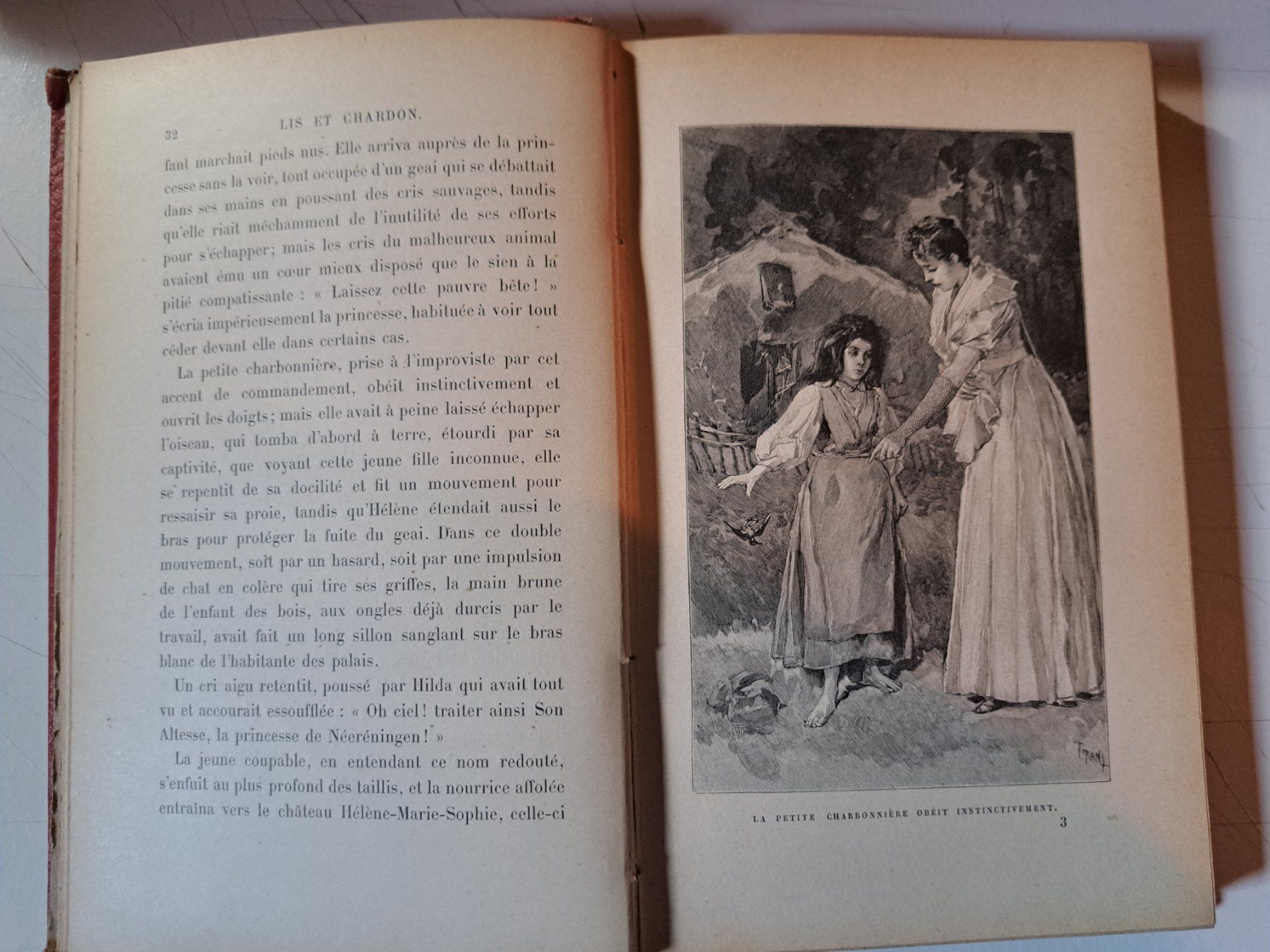 Bücher: Livre ancien 1891 : Lis et Chardon – Gebraucht aus Pailly von jme99 5