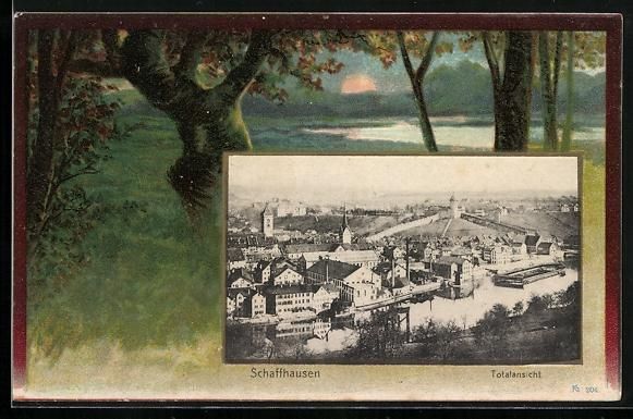 Cartes postales: Schaffhausen, Totalansicht, Rahmen, Auen – D'occasion à Berlin par bartko-reher