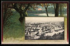 Schaffhausen, Totalansicht, Rahmen, Auen