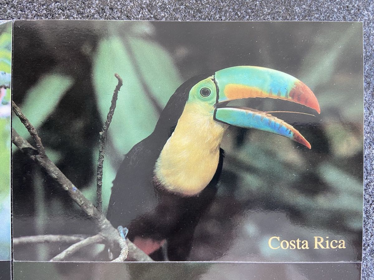 Ansichtskarten: 6 Postkarten Tiere Costa Rica – Neu (gemäss Beschreibung) aus Schwarzenburg von Aha016 2