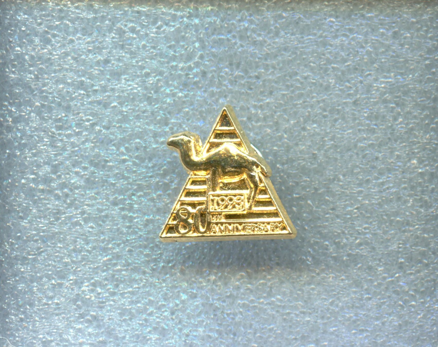 Camel Placchette & Badge: CAMEL – Usato da Winterthur venduto da Sammleroase