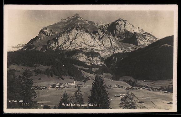 Cartoline postali: AK Wildhaus, Teilansicht mit Säntis – Usato da Berlin venduto da bartko-reher