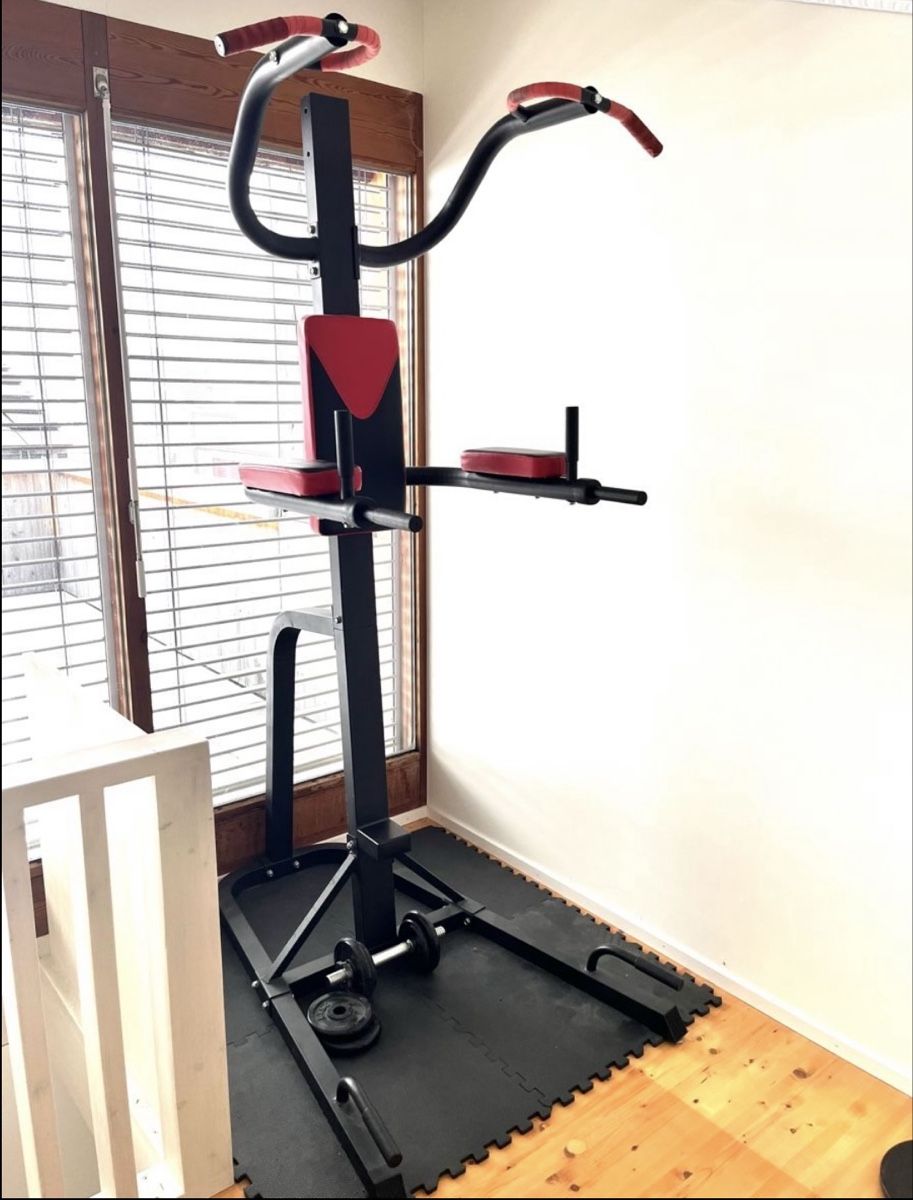 Hometrainer: Klimmzug und Dip Trainer – Usato da Uster venduto da mir_tmt5