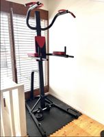 Klimmzug und Dip Trainer
