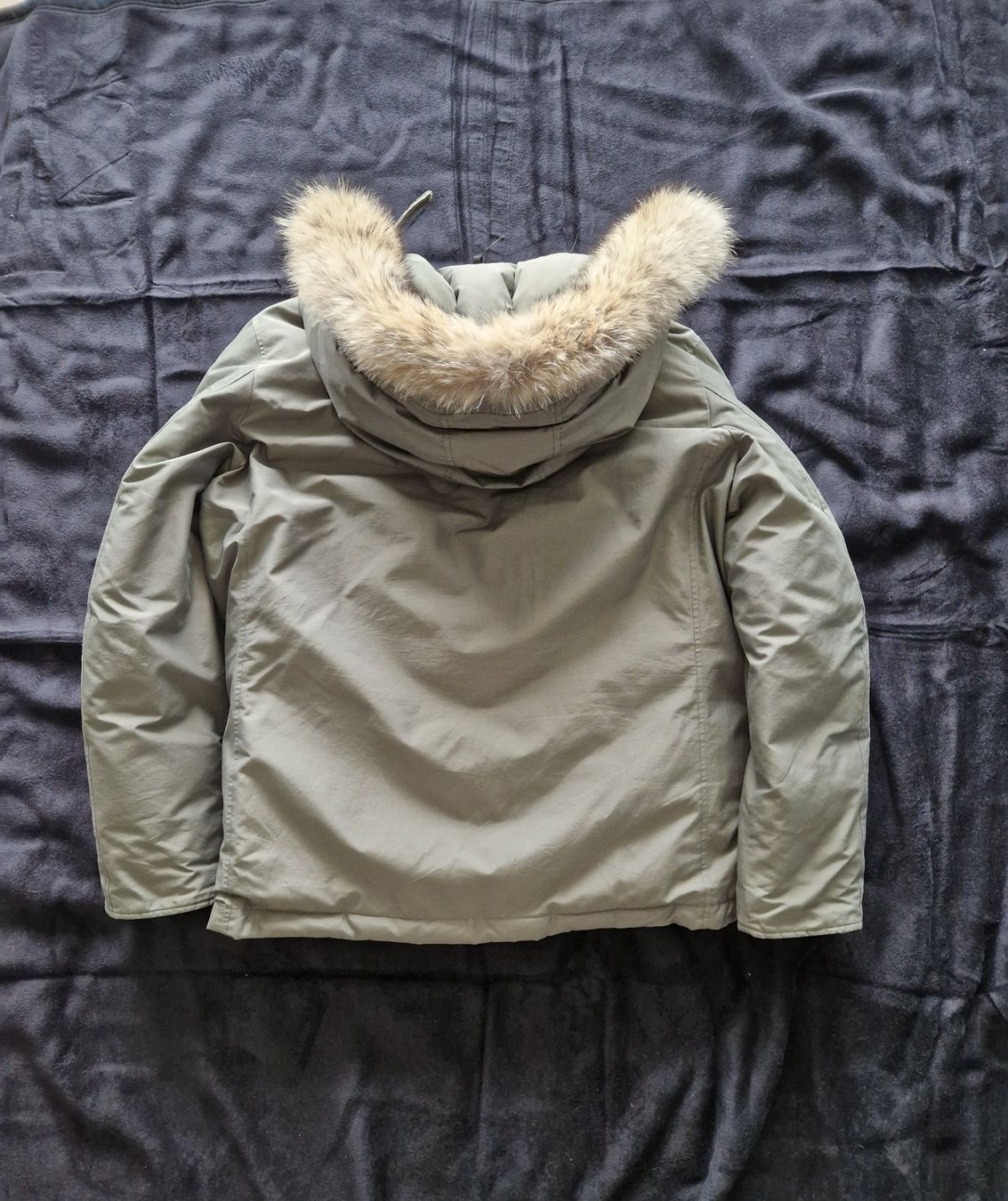 Woolrich Jacken: Woolrich Parka XXL/XL "neu" – Neu (gemäss Beschreibung) aus Arbon von Online-Shop 3