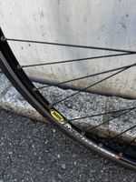Viner AluthSL- Campagnolo - Mavic Open Pro - Rennrad