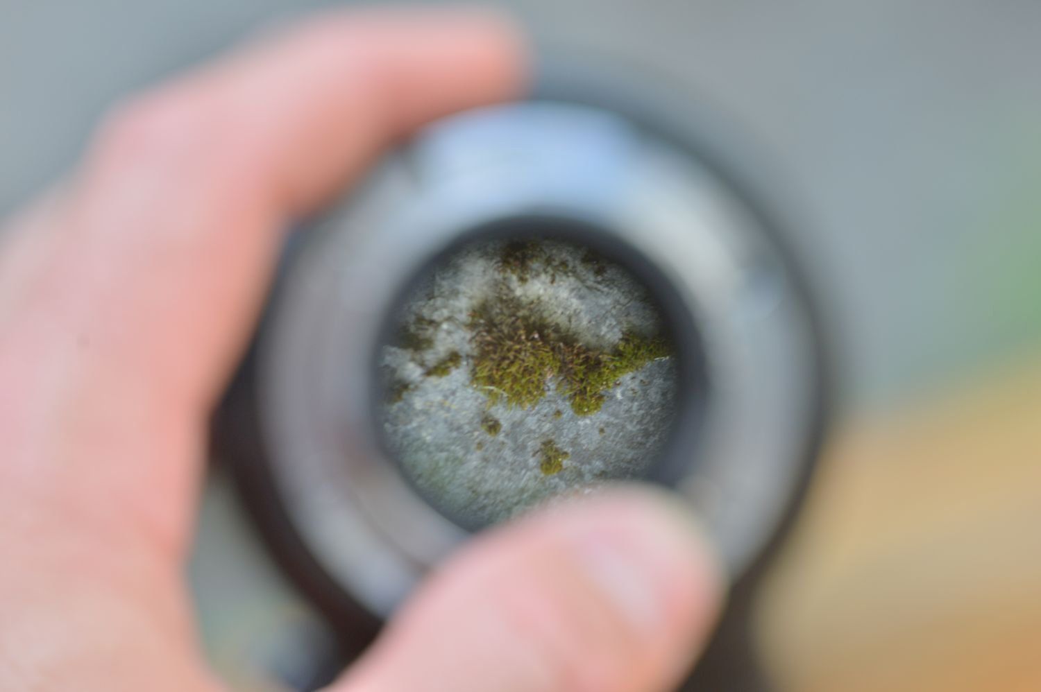 Nikon Obiettivi: Nikon 80-200mm f2.8 – Usato da Lichtensteig venduto da dan_rj7z 6