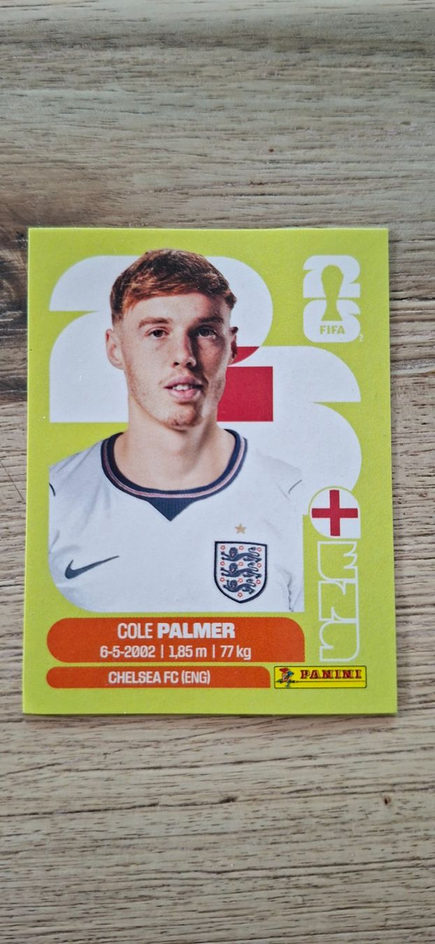 Panini Carte collezionabili: Panini FIFA WM 2026 ENG 12 – Usato da Bronschhofen venduto da Pummerlchen