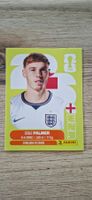 Panini FIFA WM 2026 ENG 12