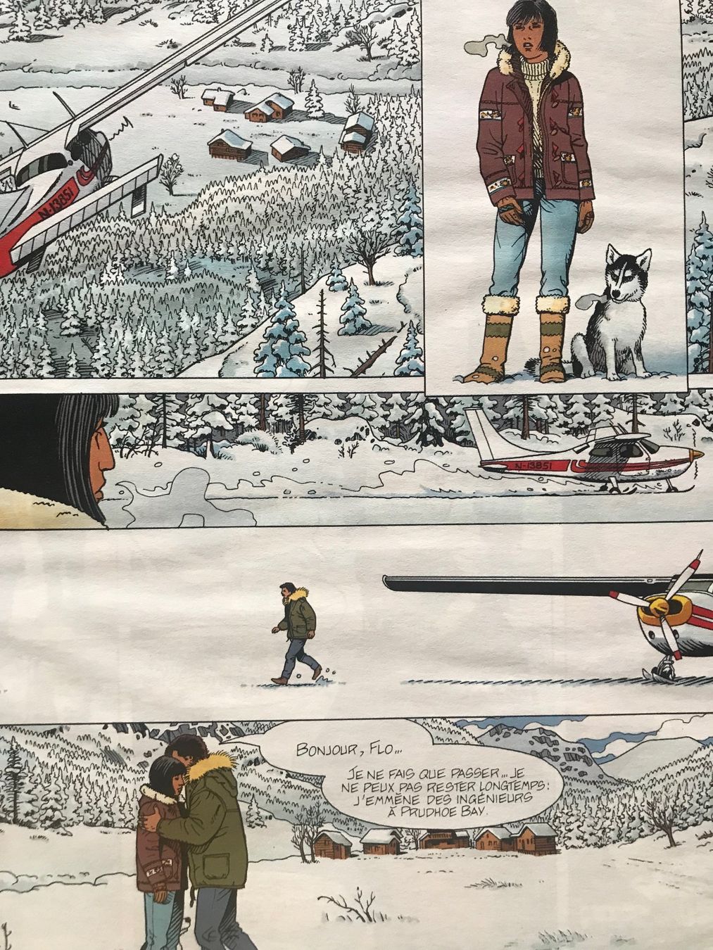 BD: Etre libre - La vallée perdue – D'occasion à Commugny par Alexnicolas11 2