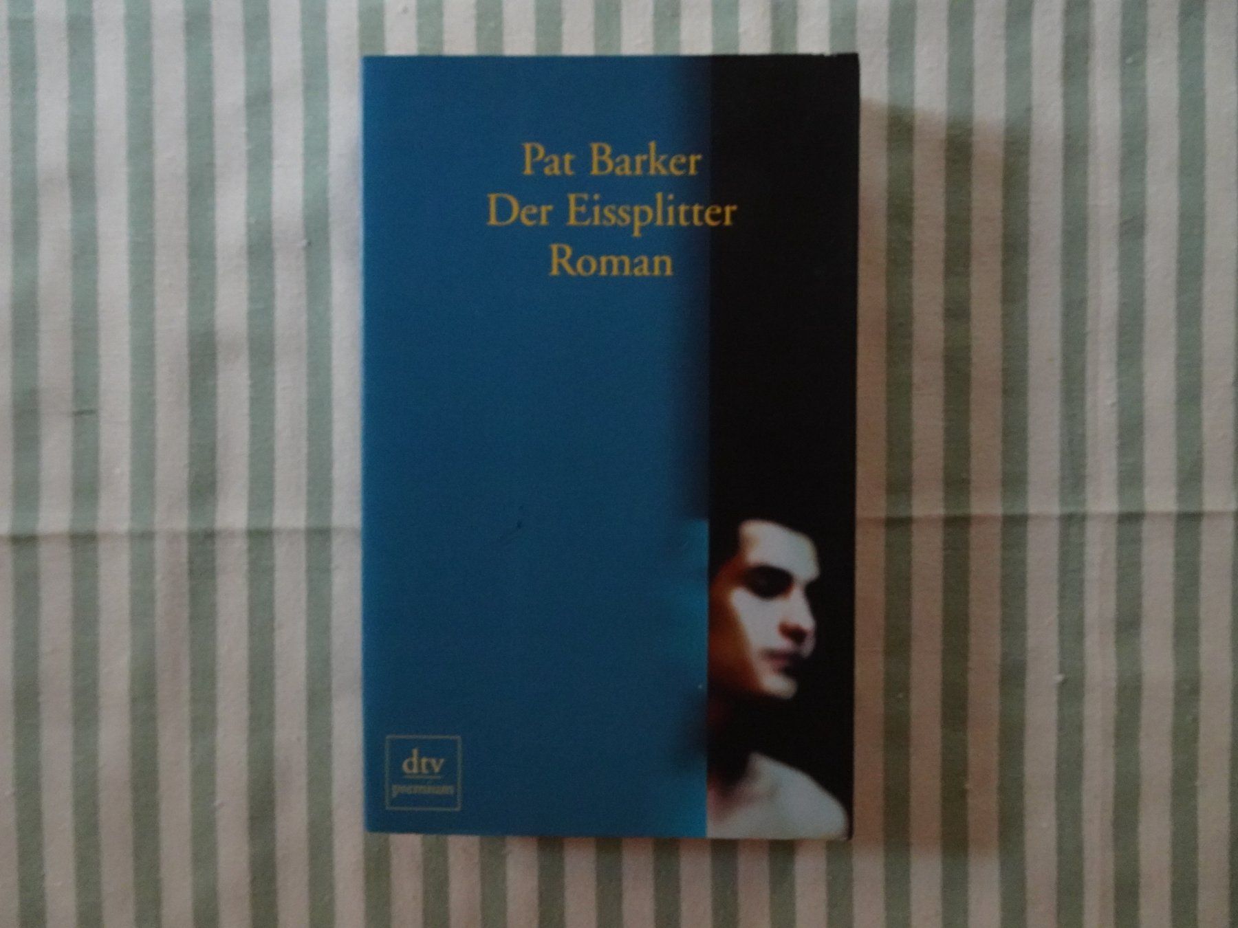 Libri: Pat Barker - Der Eissplitter - Roman - B767 – Usato da Küssnacht am Rigi venduto da Bookslove-Divers