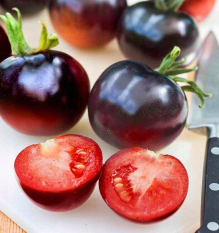 Piante & sementi: Kirsch TOMATE Black Cherry, Cocktailtomate / 5 Samen – Nuovo (secondo la descrizione) da Hinteregg venduto da ERFOLG78 1