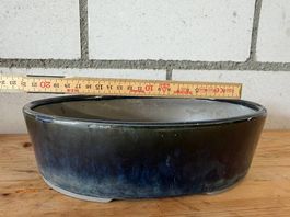 Grosse ovale Bonsaischale  blau glasiert