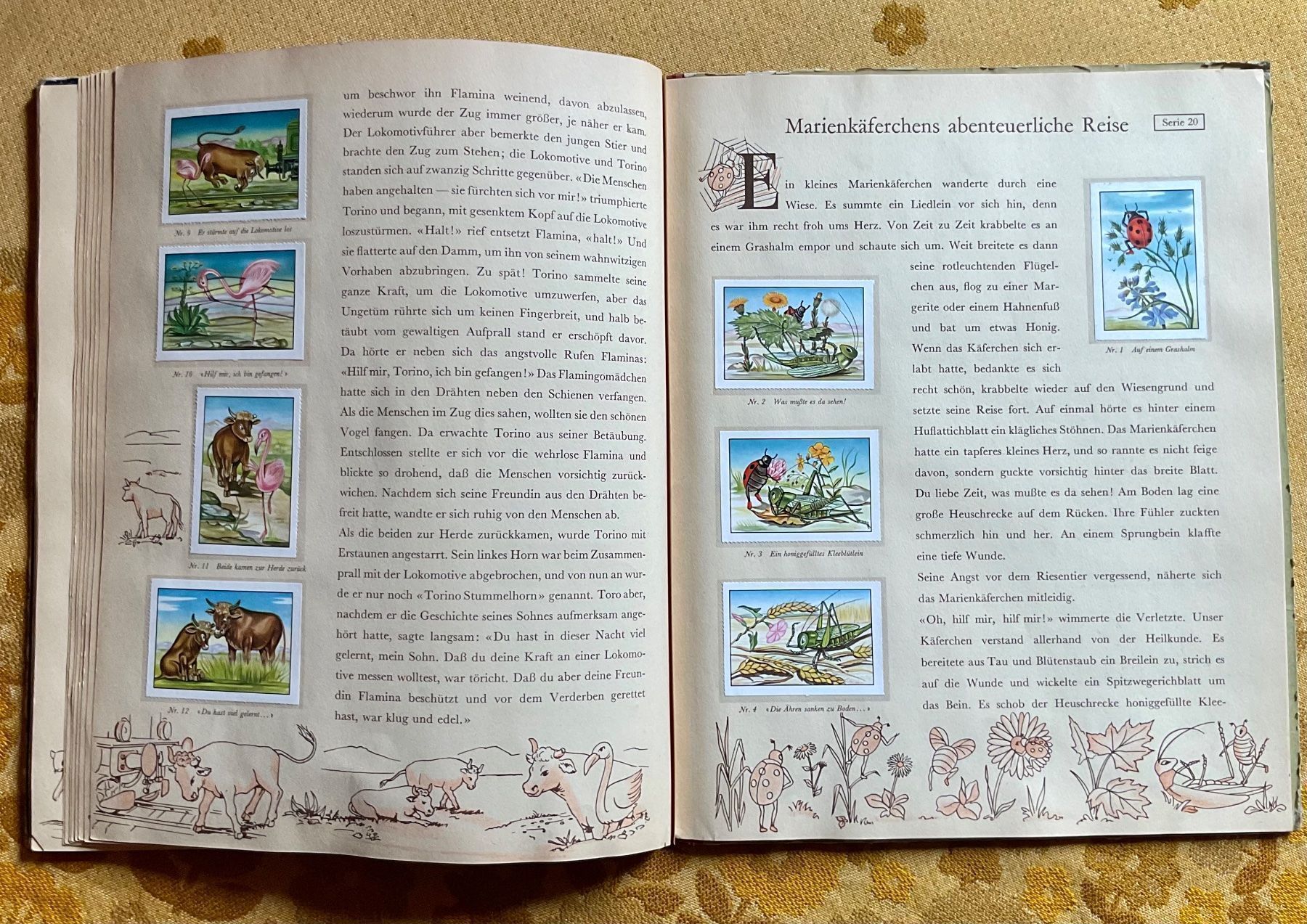 Libri: 24 neue Tiermärchen von 1953 ? – Usato da Endingen venduto da nathan05 7