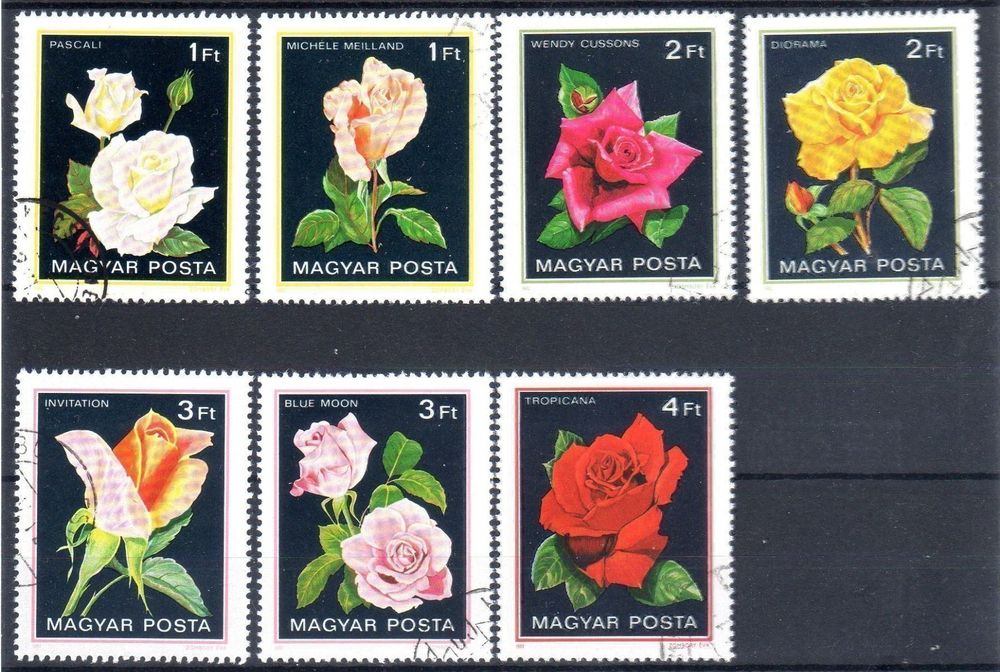 Landhaus-Tischdecke „Rosen Romantik“ – 100% Baumwolle, Creme-blau, Mitteldecke 100x100 Cm, Maschinenwaschbar