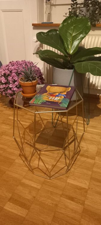 Qfdiwr Edelstahl-Draht Gardinensystem - Vielseitiger Organizer Für Vorhänge & Deko