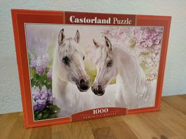 1000er Puzzle Castorland, neuw.